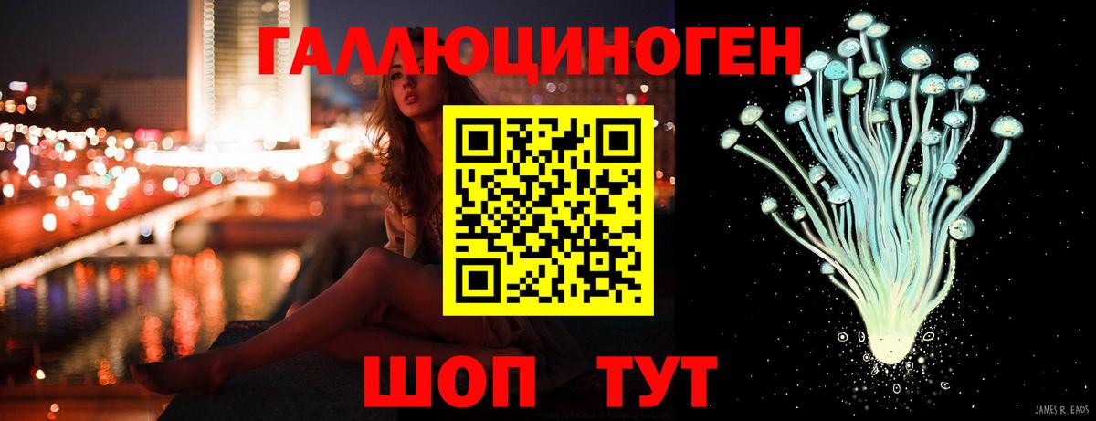Псилоцибиновые грибы Psilocybe  Вход с VPN  Горячий Ключ  Псилоцибиновые грибы Psilocybe 
